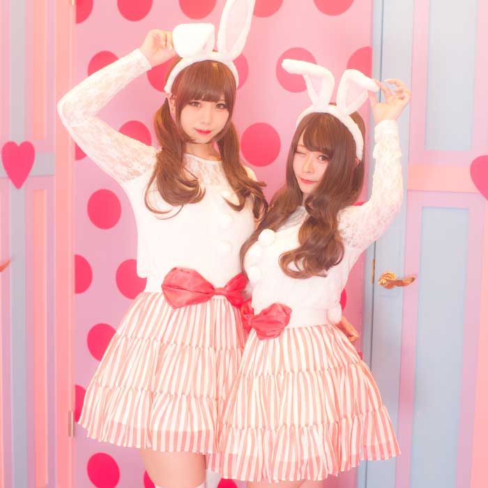 Pink-white rabbit set-up