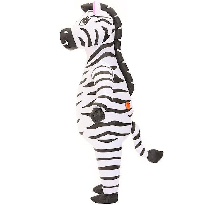 Swinging zebra