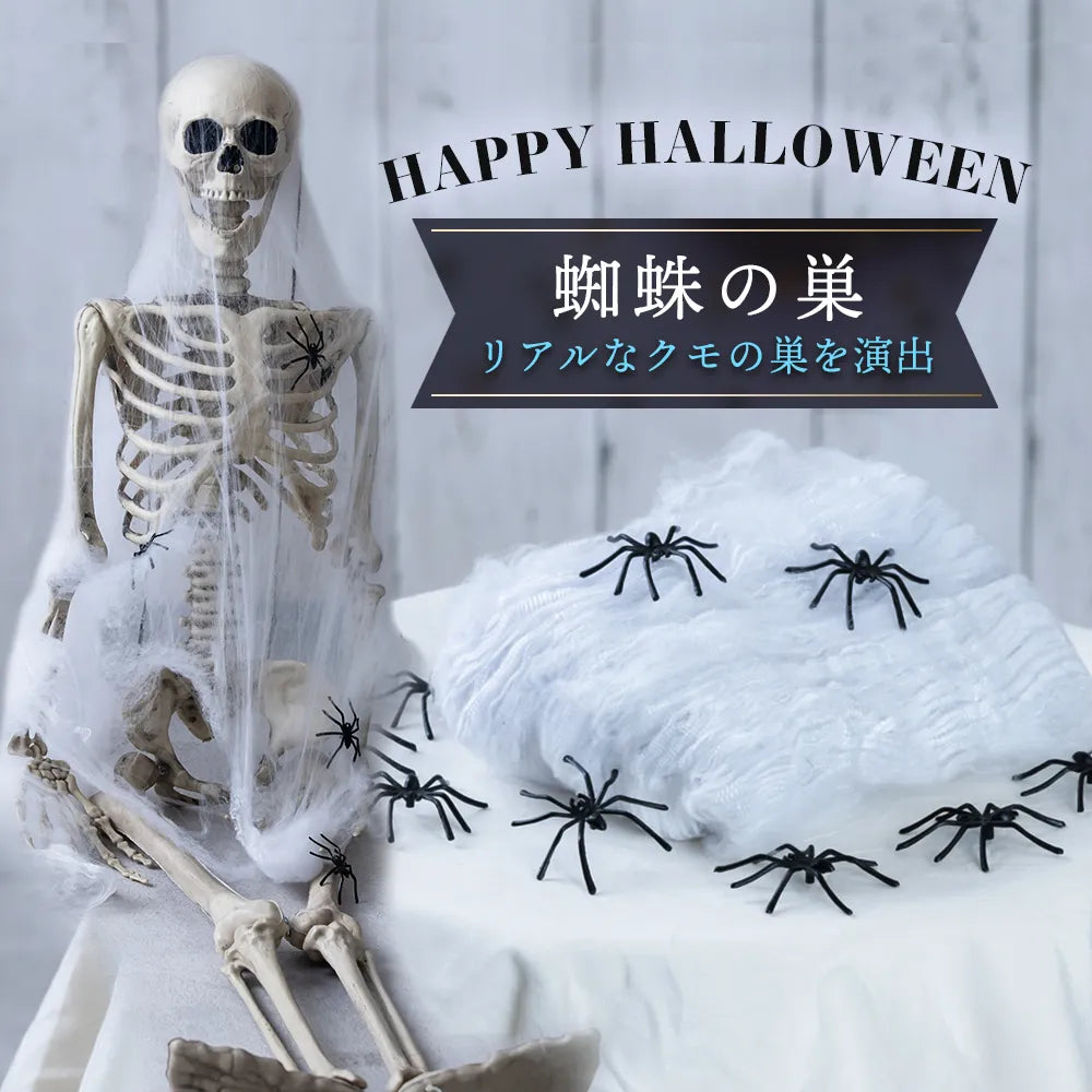蜘蛛の巣 | BODYLINE & LunaBelle
