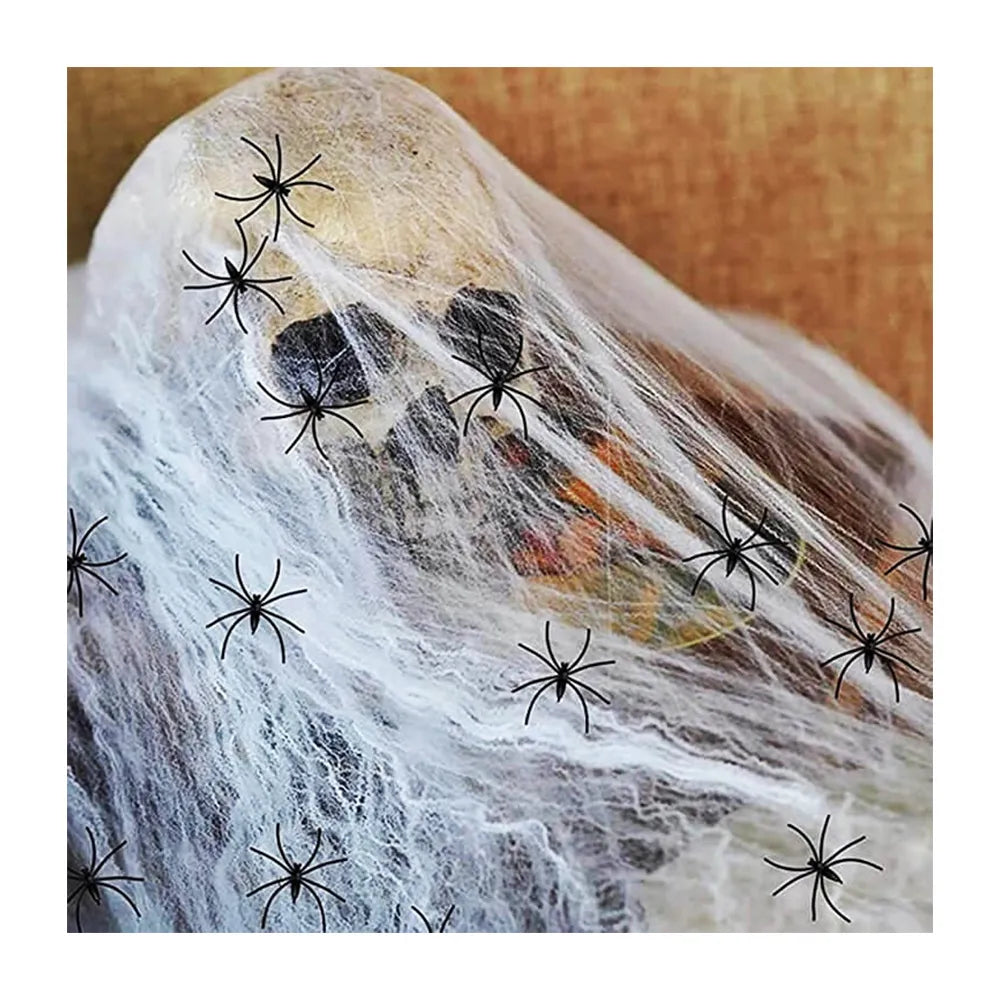 Spider Web