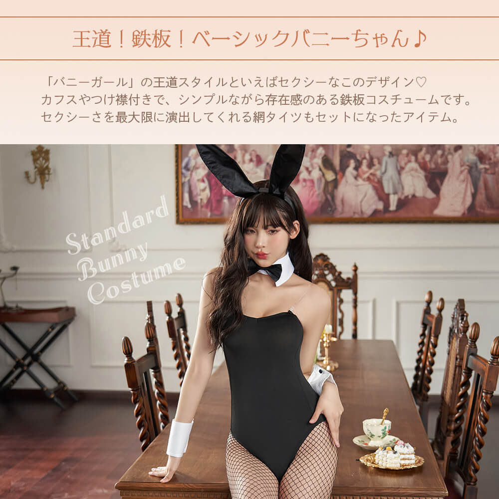 充実のフルセット! ベーシックSEXYバニーガール | BODYLINE