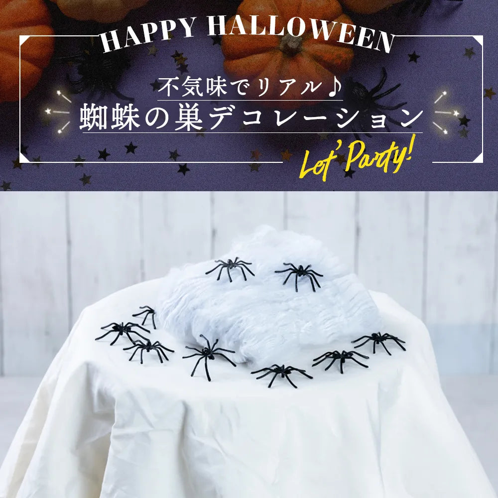 Spider Web