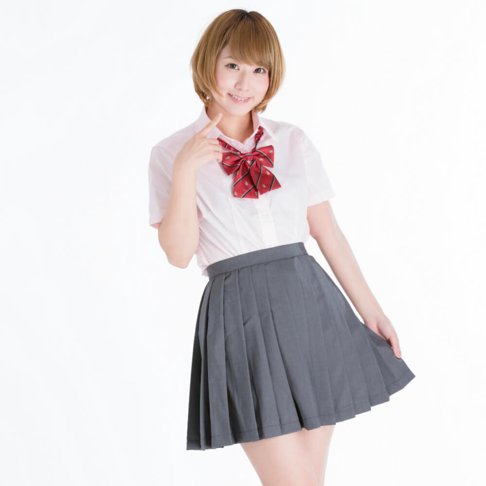 Solid pleated skirt (welfare fabric)